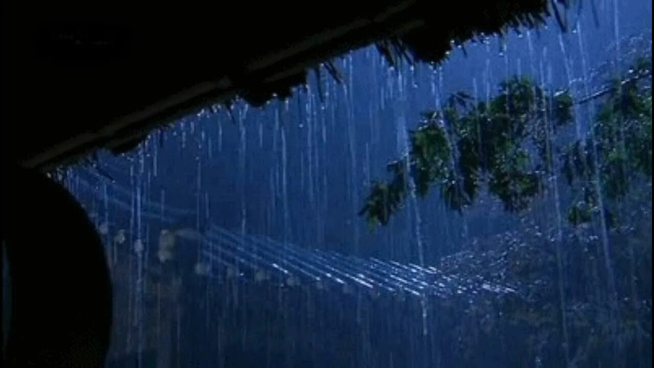 В течение всей ночи лил дождь. Дождь. Сильный дождь. Анимация сильный дождь. Ливень в лесу ночью.