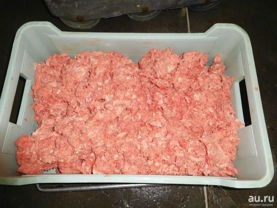Можно давать щенкам фарш