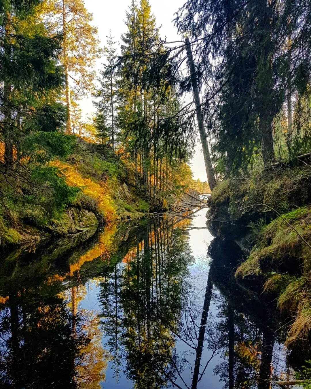 Красота природы читать