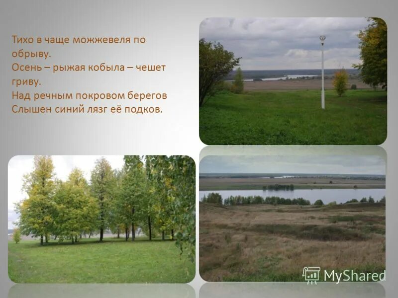 Как бы ни был красив. Раздолье руси. Как бы не был прекрасен шираз он лучше рязанских раздолий. Есенин как бы ни был красив шираз он не лучше рязанских раздолий. Небесная золотая река.