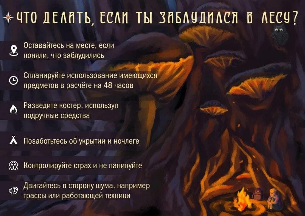 Помощь заблудившимся в лесу. Если вы заблудились в лесу. что делать если заблудился в лесу. памятка что делать если заблудился в лесу. памятка если вы заблудились в лесу.