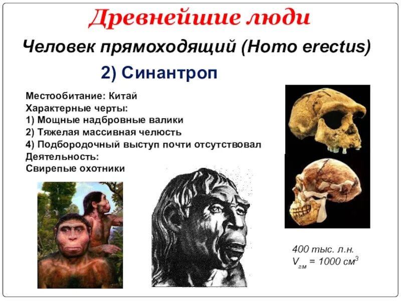 Признаки древности. Биологические характеристики древних людей. Питекантроп и синантроп это. Древнейшие люди биология.