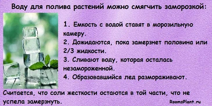 Как смягчить воду для полива цветов. Средство для смягчения воды для полива растений. Как умягчить воду для полива растений. Как можно смягчить воду в домашних условиях. Как смягчить воду для полива