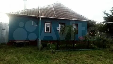 Авито курск и курская