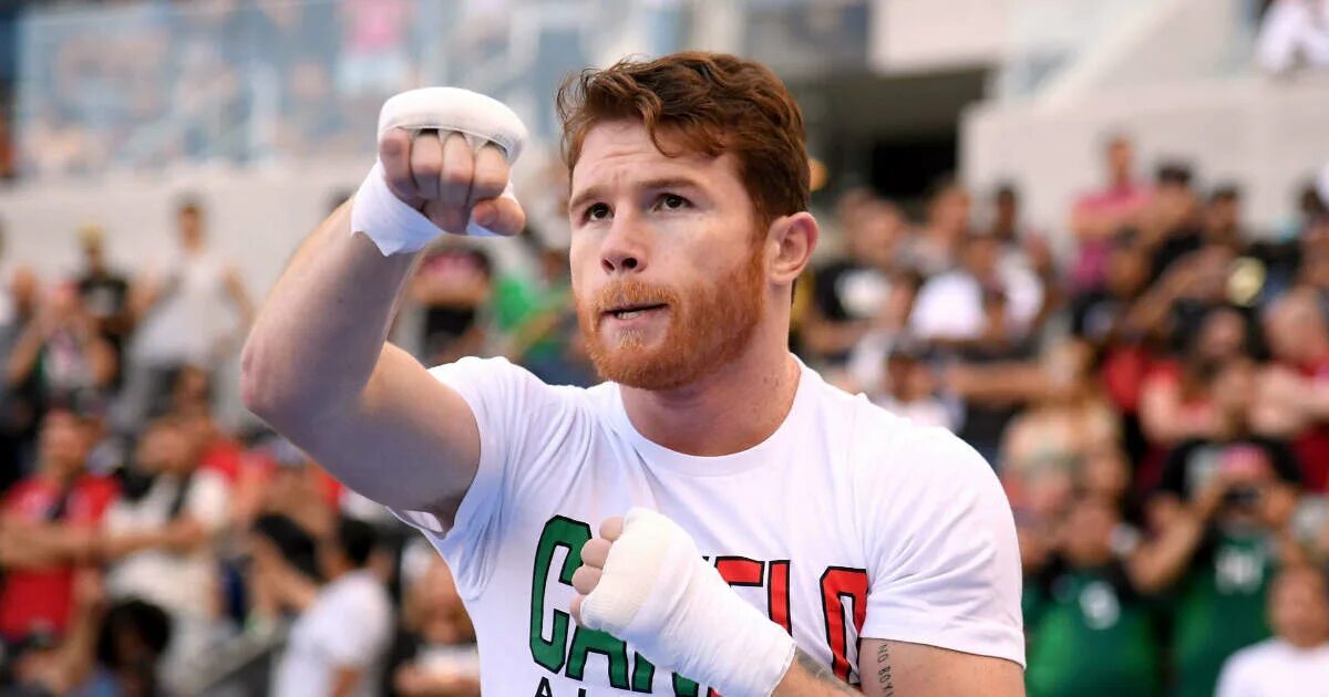 Caul kanelo alvares. Канелое. Saul canelo alvarez. Saul alvarez. Canelo.