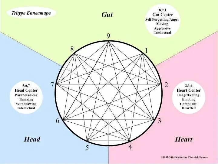 Tritype Enneagram тест. Эннеаграмма триады. Katherine Fauvre tritype. Эннеаграмма профессии.