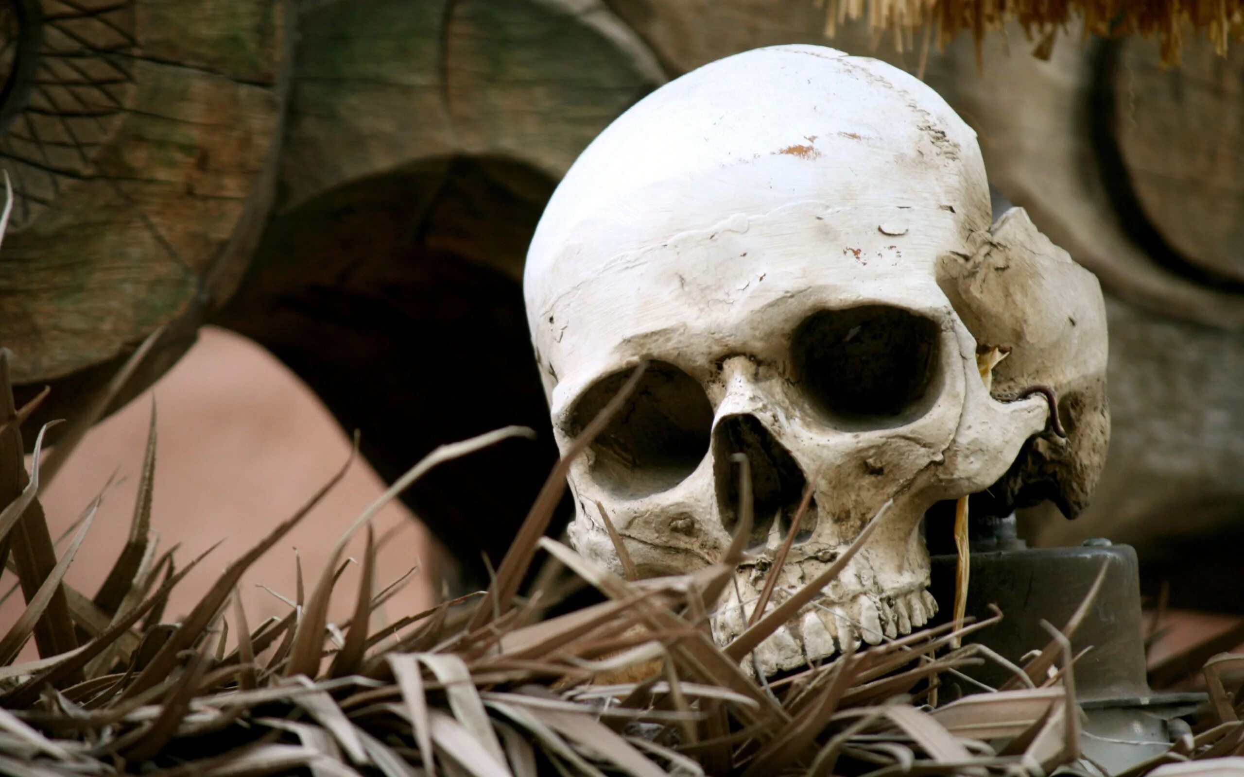 Пин на доске Skulls, Flames and Airbrush Inspirations Череп, Искусство, Прикладн