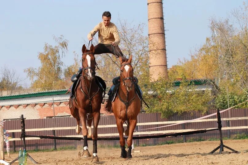 мужчина на коне. лошадь на двух ногах. стоя на коне. стоя на коне. кубанские казаки джигитовка.