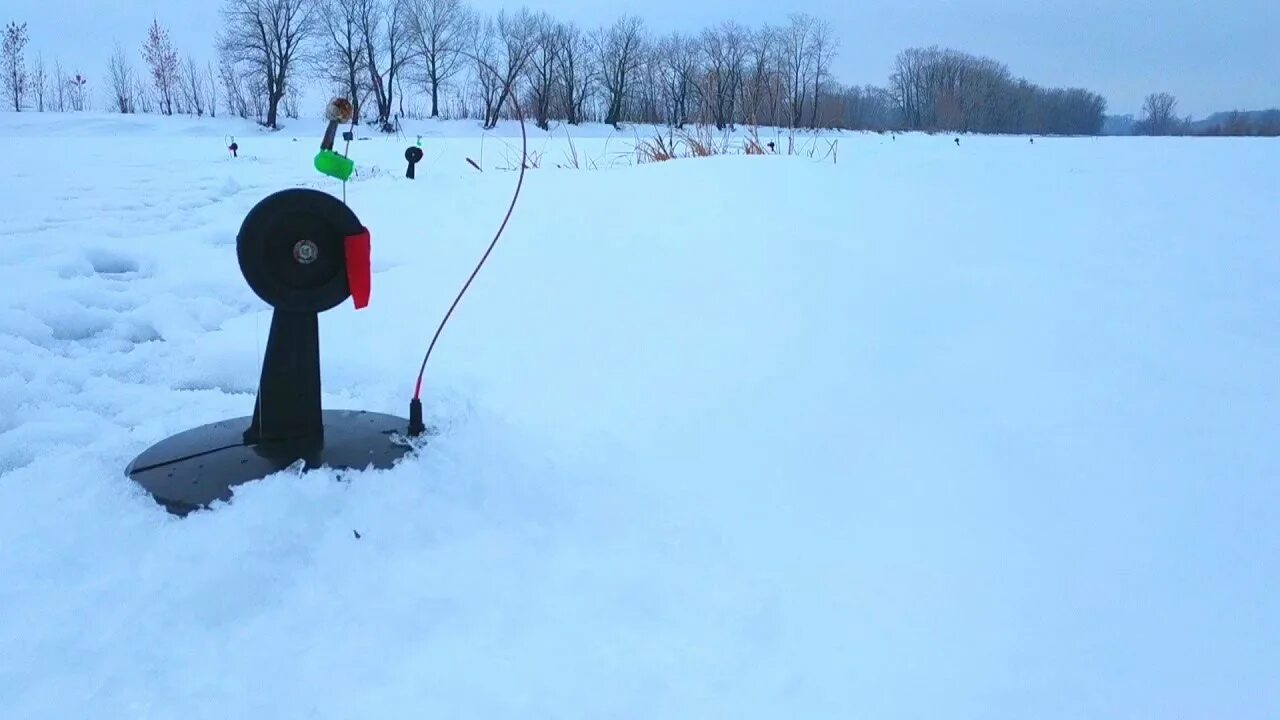 Жерлицы ловля видео. Жерлицы зимой. Ловля щуки на жерлицы зимой. Жерлицы на пруду. Самодельные жерлицы.