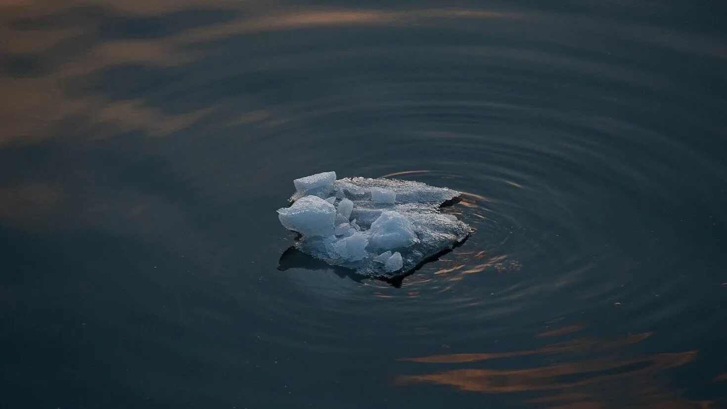 Лёд плавает на поверхности воды. Лед плавает. Плавать на поверхности. Лед плавает в стакане. Мелкий лед на воде