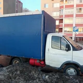 Газель фермер оренбург
