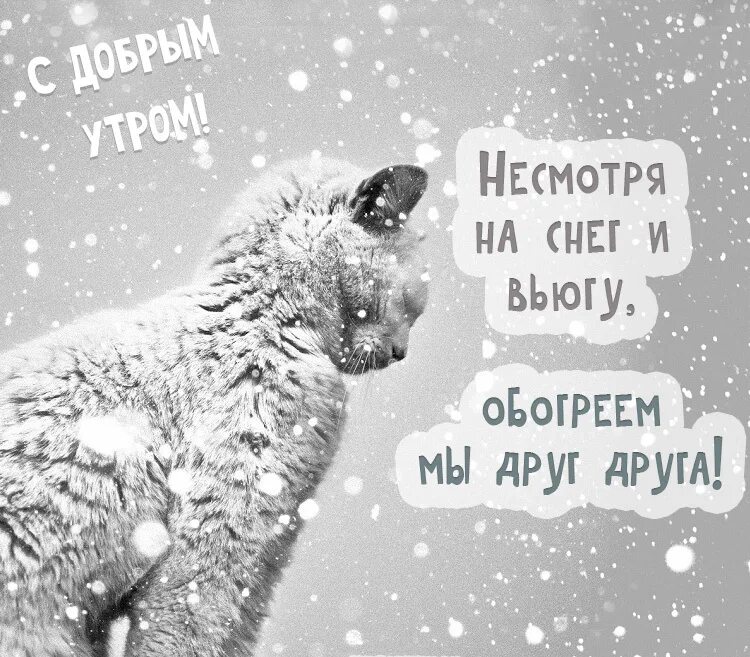 Картинки с добрым утром холодно с надписями. С добрым снежным утром. доброе утро зимнее прикольное. доброе снежное утро прикол. с добрым снежным утром прикольные.