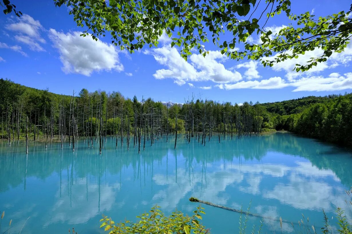 Разные озеры. Голубой пруд, Хоккайдо, Япония. Голубое озеро Хоккайдо. Пруд Хоккайдо Биэй. Голубой пруд Биэй.