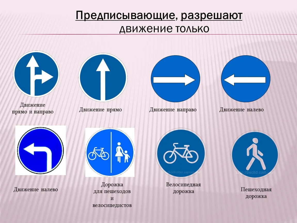 Предписывающие знаки. Дорожные знаки предписывающие. Предписывающиеэ знаки. Предписывающие знаки дорожного движения с пояснениями. Какую форму и цвет имеет предписывающий