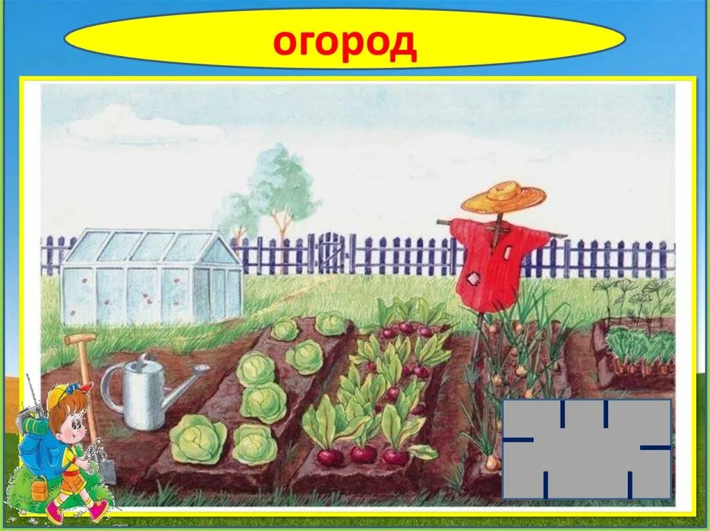 Рисование огород. Огород для детей. Огород картинка для детей. Огород с овощами для детей.