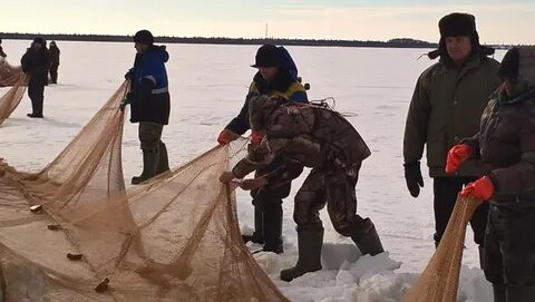 Погода уват на 10 дней тюменская