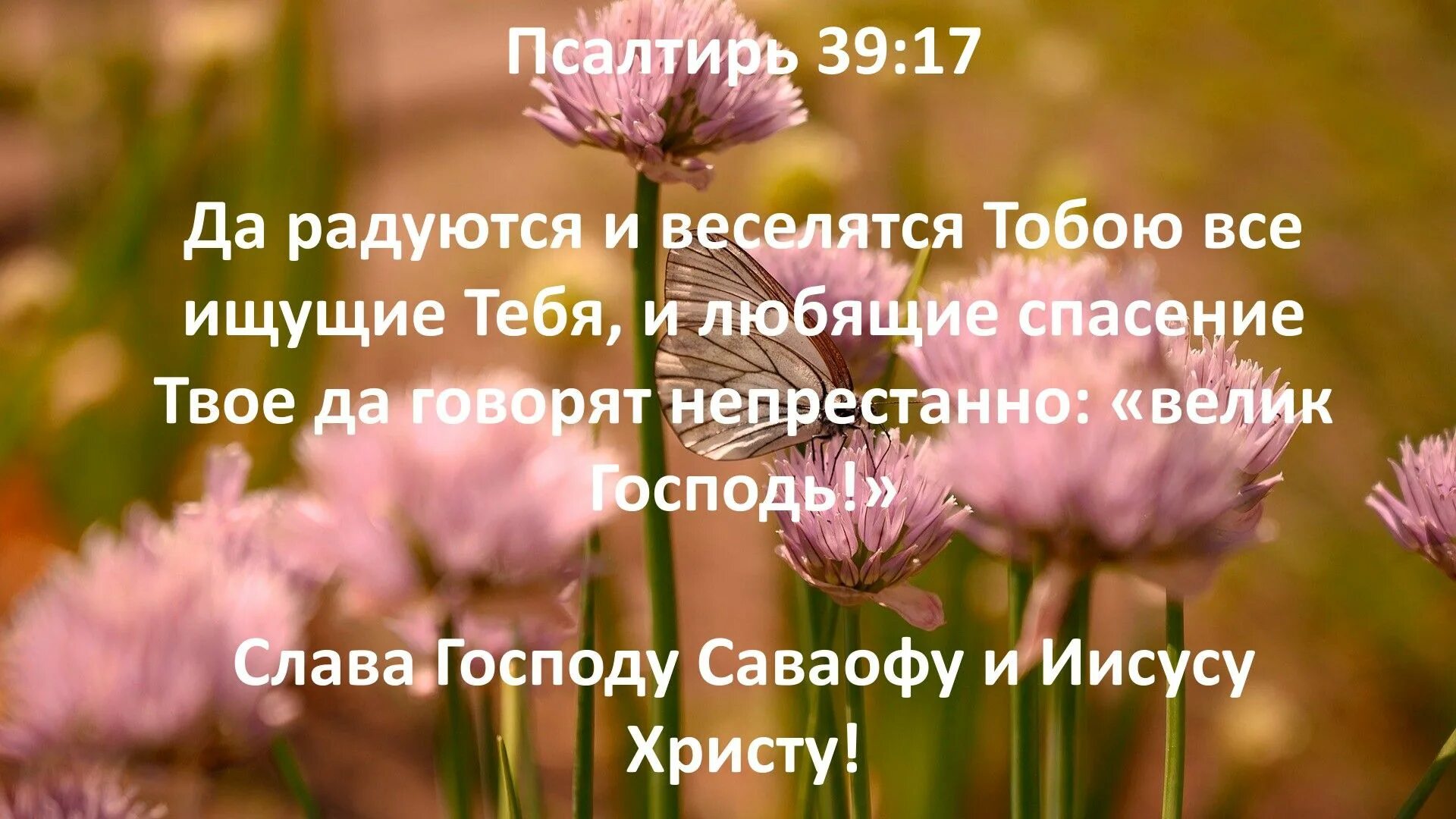 Ты думал что тебя спасет твой. Текст из Библии. Цитаты из Псалтири. Цитаты из Библии. Непрестанно говорят велик Господь.