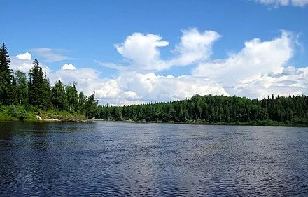 Река в красноярске 4