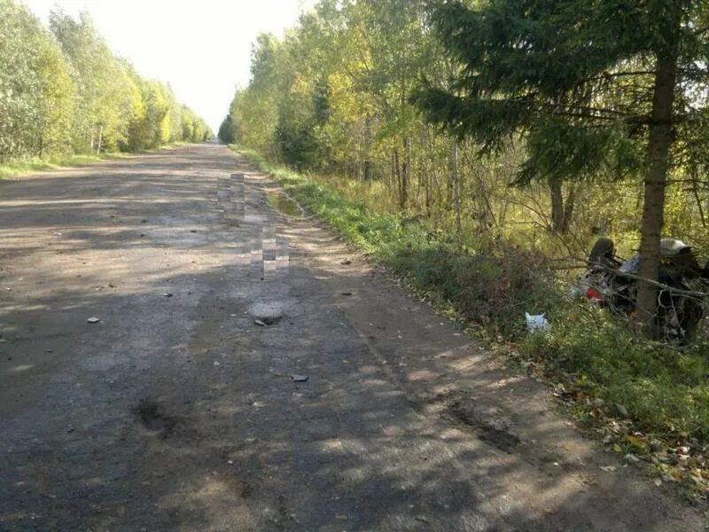 Дрегли новгородская область