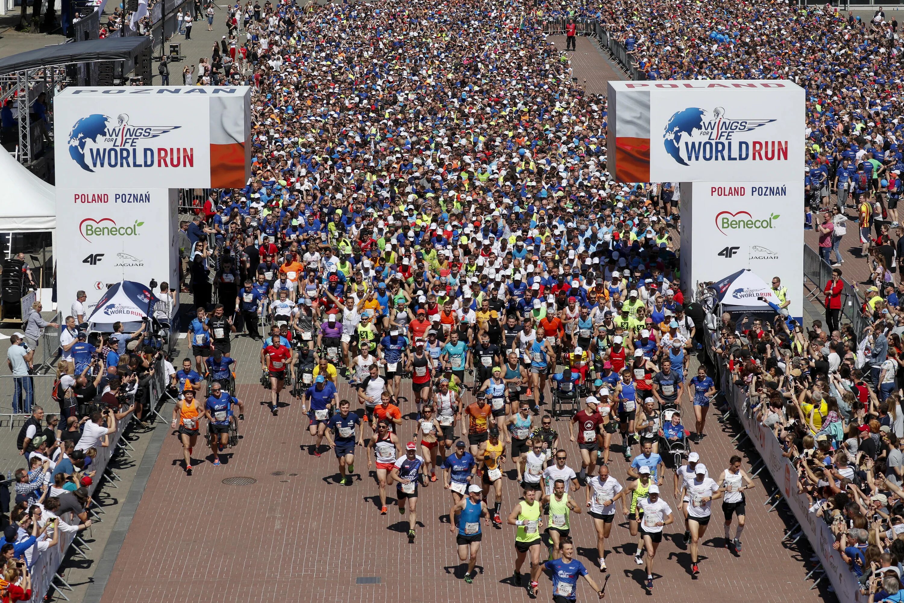 Ворлд ран. Wings for Life World Run. Run for Life благотворительный забег. «Red bull Wings for Life World Run». Массовый бег.