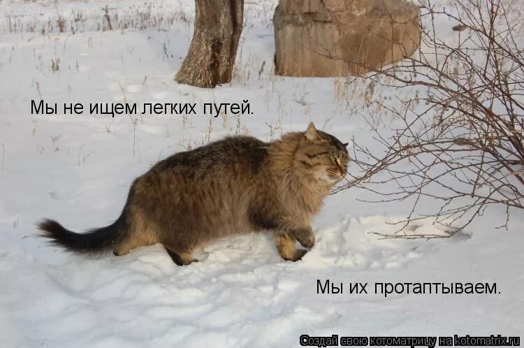 Не ищет простых путей. Мы не ищем легких путей. не ищу легких путей. лёгких путей не ищем. мы не ищем легких путей юмор.