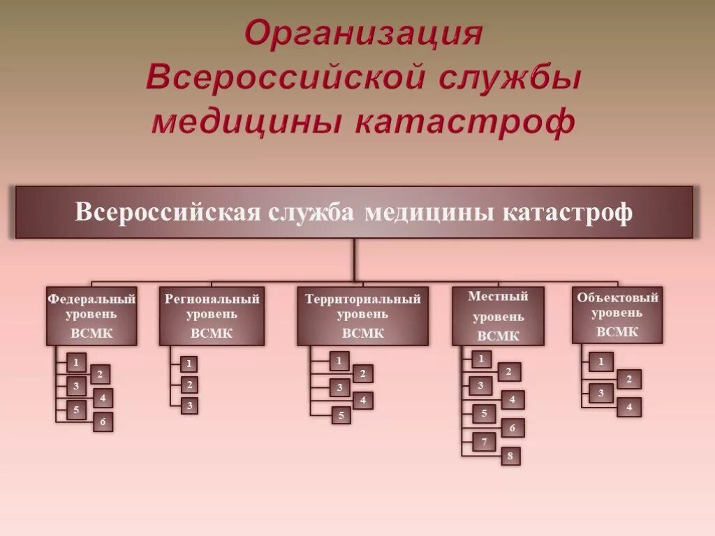 Организация медицины катастроф. Организация службы медицины катастроф. Всероссийская служба медицины катастроф. Всероссийская медицина катастроф ВСМК. Учреждение 3 уровня