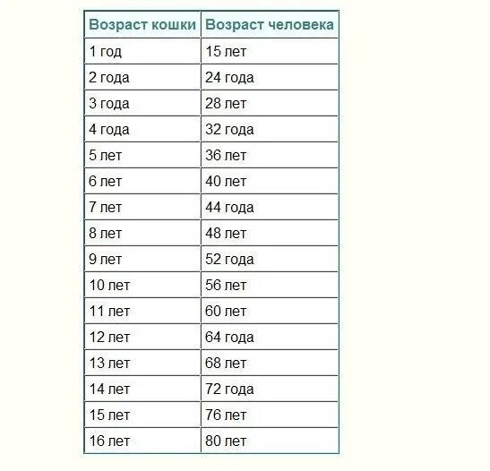 Перевод кошачьего возраста на человеческий. Кошачий Возраст по человеческим меркам 10 лет таблица. Кошачий Возраст на человеческий таблица. Возраст попугая по человеческим меркам таблица. Сколько лет попугаю по человеческим меркам 4 года.