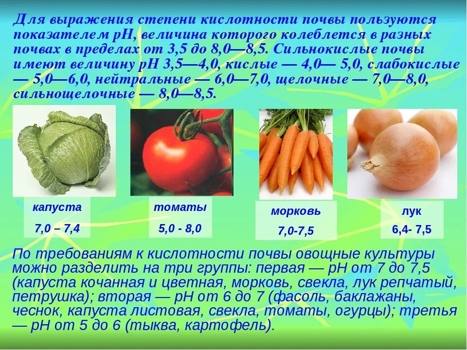 Какие овощи не любят кислую почву. РН для овощей. PH для томатов. Почва для овощных культур.