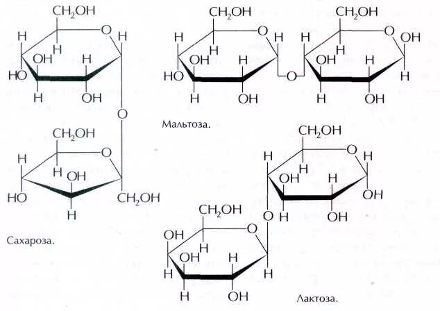 Мальтозы, Целлобиозы, лактозы и сахарозы. Формулы мальтозы лактозы Целлобиозы сахарозы. Мальтоза целлобиоза лактоза сахароза формула. Сахароза мальтоза лактоза формулы. Глюкоза сахароза фруктоза рибоза крахмал