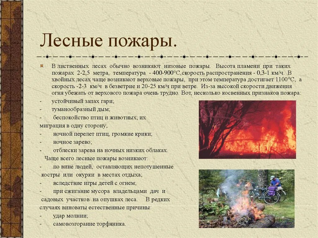 Формы прилагательных. Любимая стихия огонь характер. Огненный имеет краткую форму. Огненный имеет краткую форму. Прилагательные не имеющие краткой формы.