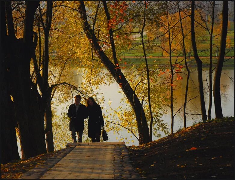 Гулять по аллее. Осенняя прогулка. Осенняя любовь. Прогулка по осеннему лесу. Осень в парке.