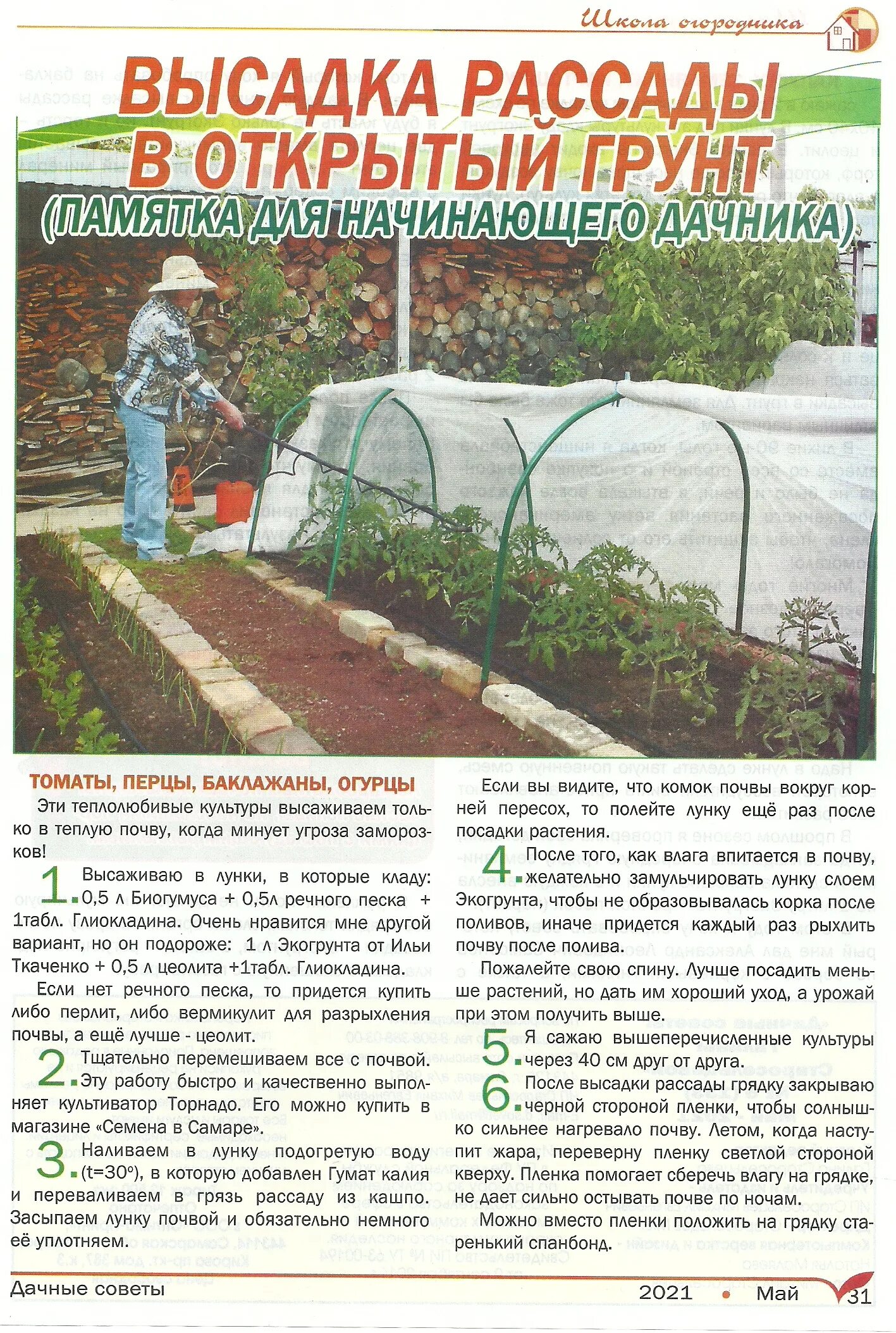 дачные советы с галиной. дачные советы. дачные советы с галиной старосельцевой. дачный. дачные советы.