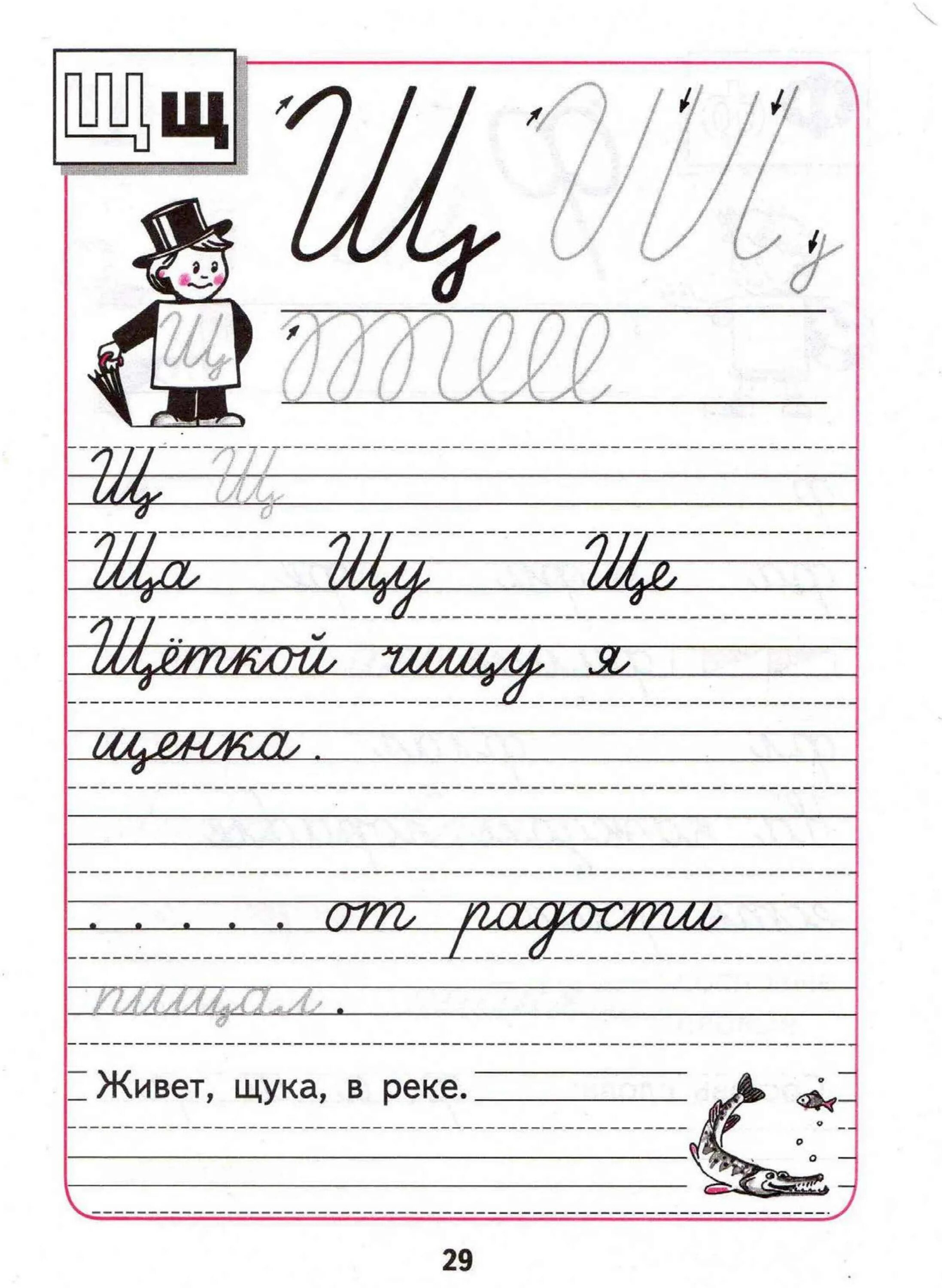 Буква щ прописи Горецкий. Пропись 1 класс буква щ Горецкий. Пропись Горецкий буква щ Горецкий. Прописи 4 часть Горецкий школа России. Пропись 3 стр 29