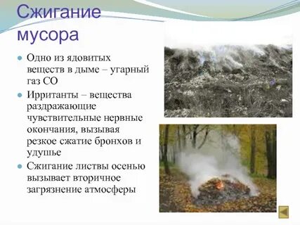 Сожгли 40 л угарного газа
