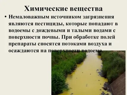 Попадают в почву и