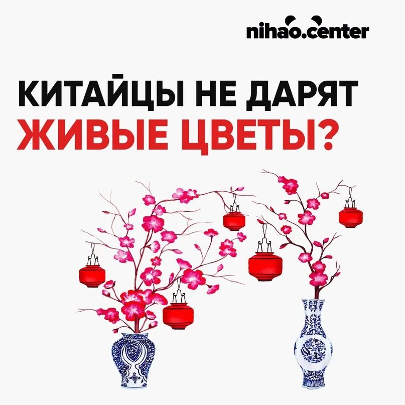 Какие цветы дарят в Китае. Китайские цветы живые. Подарить китайцу цветы какие. В Китае не дарить живые цветы.