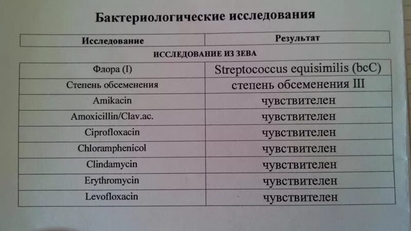 Стрептококковая ангина зев. Мазок на флору из горла у ребенка. Мазок из горла на инфекции. Мазок из горла на инфекции у ребенка.