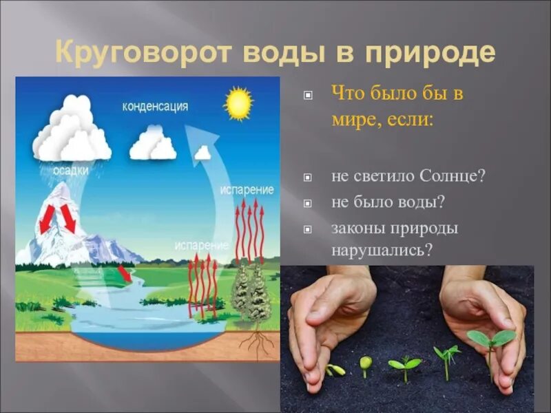 Законы природы открытые человеком. Законы природы. Законы природы для человека. Законы природы иллюстрация. Человек закон природа и природа.