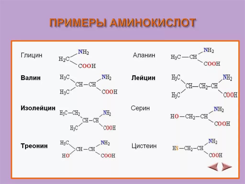 Кислотные белки