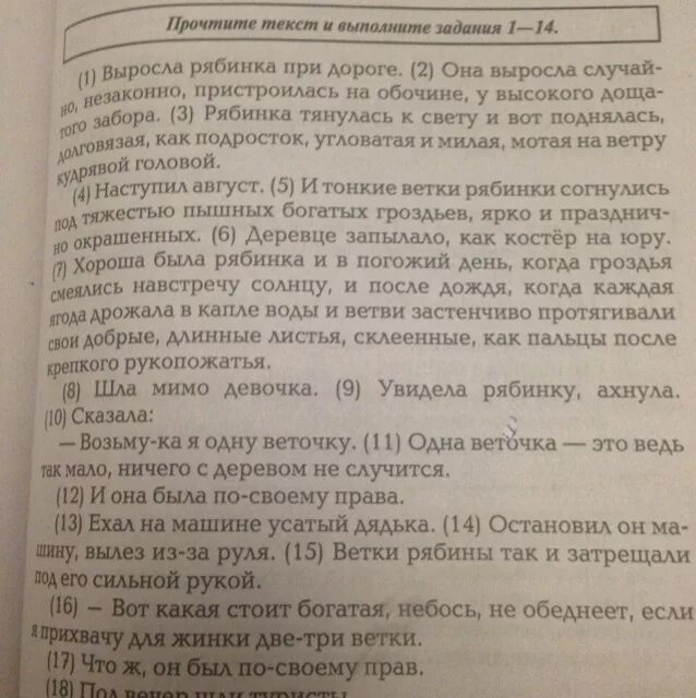 Сочинение на стадионе. Сочинение на 500 слов. Сочинение по тему случай на стадионе. Сочинение по дороге в школу 3 класс. Написать сочинение по дороге домой я думала.