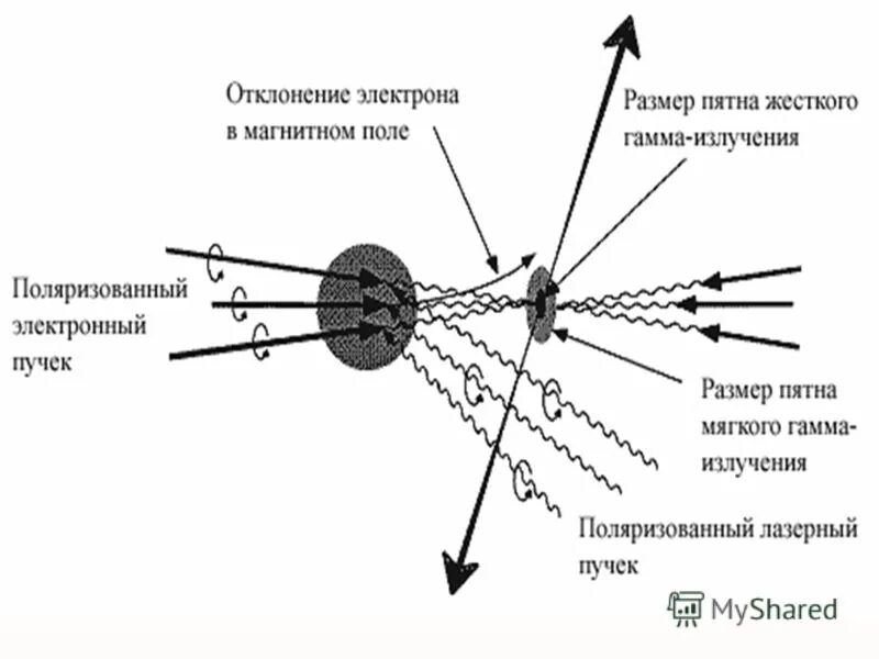 А излучение отклоняется в магнитном поле. Отклонение лучей в магнитном поле. Какое излучение не отклоняется магнитным полем. Кюри физика радиоактивная единица. Пучок радиоактивного излучения распадается на три.