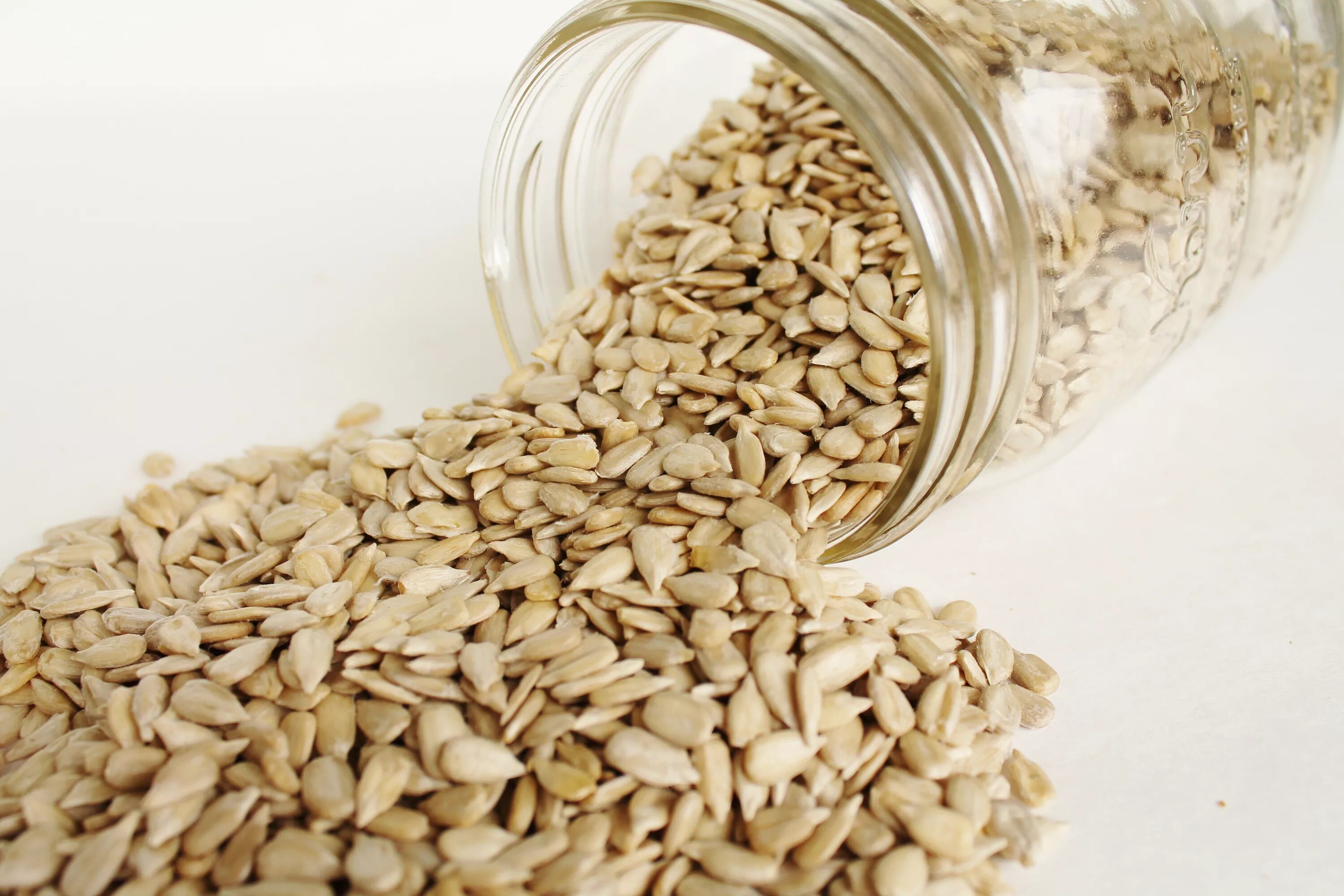 ядро семечки подсолнечника