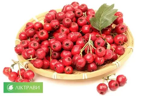 Иркутске боярышник