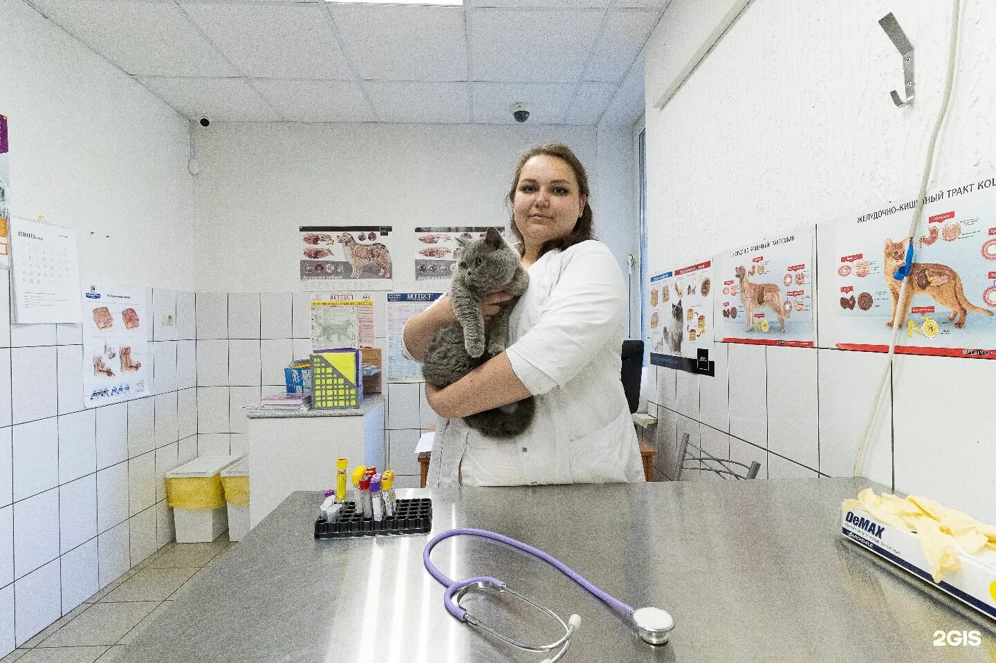 Ветлечебница череповец