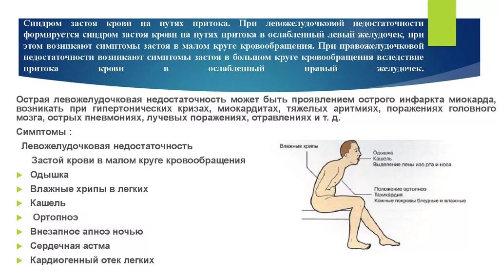 Застой по малому кругу. Признаки застоя в Малом круге кровообращения. Застой в Малом круге симптомы. При левожелудочковой недостаточности. Синдром застоя в Малом круге кровообращения.