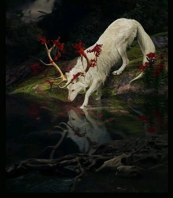Найти таинственного зверя. Рогатый волк. Волк с рогами. Мифические существа волки. Мистические животные с кровью.