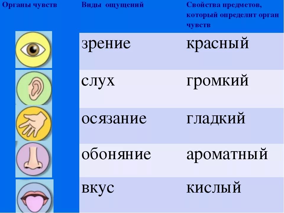 Ii feeling. Органы чувств. Окружающий мир органы чувств. Органы чувств 2 класс. Органы чувств 3 класс окружающий мир.