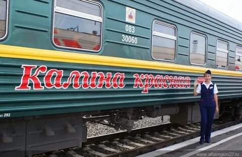 Калина красная поезд