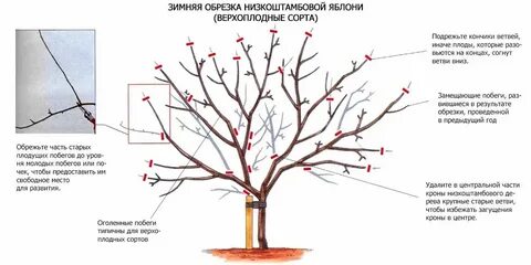 Правильно осенью