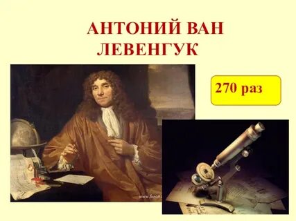 А левенгук